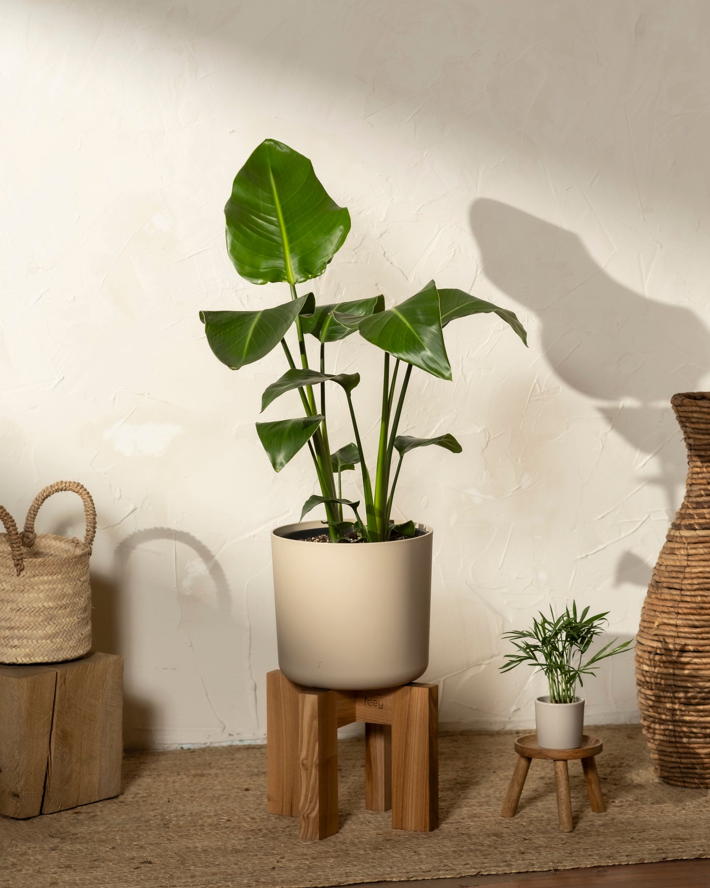 Kunststoff-Topf (Lumi | 22 cm ⌀) in der Farbe taupe im Wohnzimmer