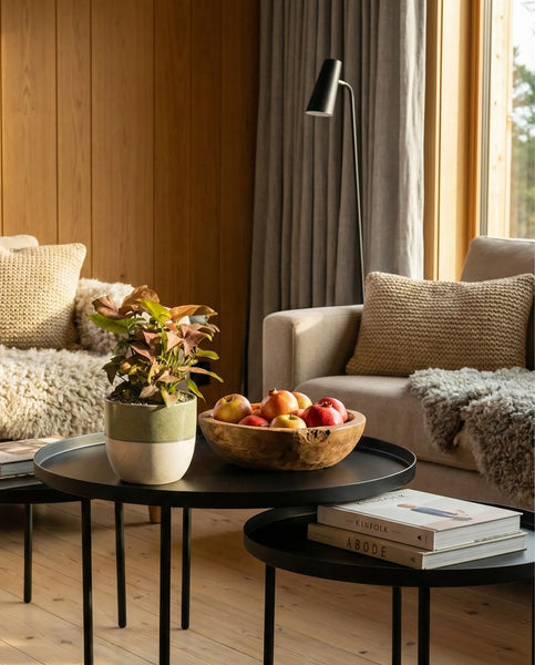 Ein gemütliches Wohnzimmer mit einem beigen Sofa, strukturierten Kissen und Überwürfen, zwei schwarzen runden Tischen, einem Syngonium 'Neon' - feey anstelle des Philodendron gloriosum, einer Holzschale mit Äpfeln, gestapelten Büchern, einer Stehlampe und grauen Vorhängen am Fenster.