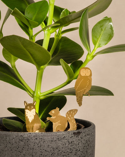 Eine Zimmerpflanze in einem grauen Topf ist mit drei goldfarbenen Deko-Pins in Form von Waldtieren versehen. Die Tierischen Pflanzenhänger, die einen Fuchs, ein Eichhörnchen und eine Eule darstellen, sind an verschiedenen Stellen der Pflanze befestigt. Der neutrale beige Hintergrund wertet die Deko für Pflanzen wunderbar auf.