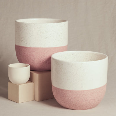 Drei Keramik-Topfsets 'Variado' (2 × 16, 7) werden auf beigen Flächen präsentiert. Zwei größere Töpfe haben eine weiße obere Hälfte mit gesprenkeltem Muster und eine rosa untere Hälfte. Ein kleinerer Topf ist ganz cremefarben. Das Arrangement ist einfach und minimalistisch, perfekt, um Ihre Lieblingszimmerpflanzen in Szene zu setzen.