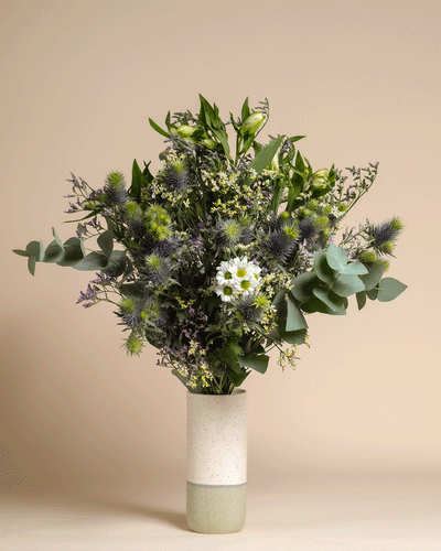 Der Blumenstrauß Nebelmeer vereint weiße Gänseblümchen, violette Disteln, Eukalyptus und gelbe Blüten in einer schlichten zweifarbigen Keramikvase vor beigem Hintergrund.