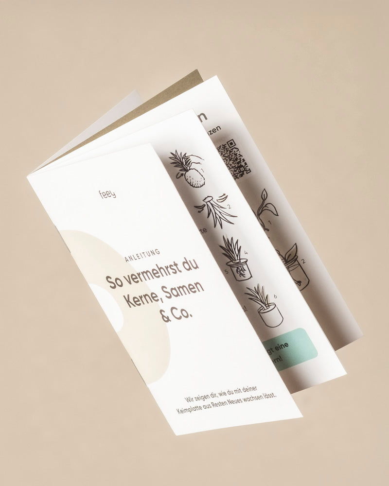 Eine deutsche Gebrauchsanweisung mit dem Titel „So vermehrst du Kerne, Samen & Co.“ mit Pflanzenillustrationen, einem QR-Code und Tipps für Avocado-Kern und Stecklinge, dargestellt mit der Vermehrungsplatte für Stecklinge & Kerne auf beigem Hintergrund.