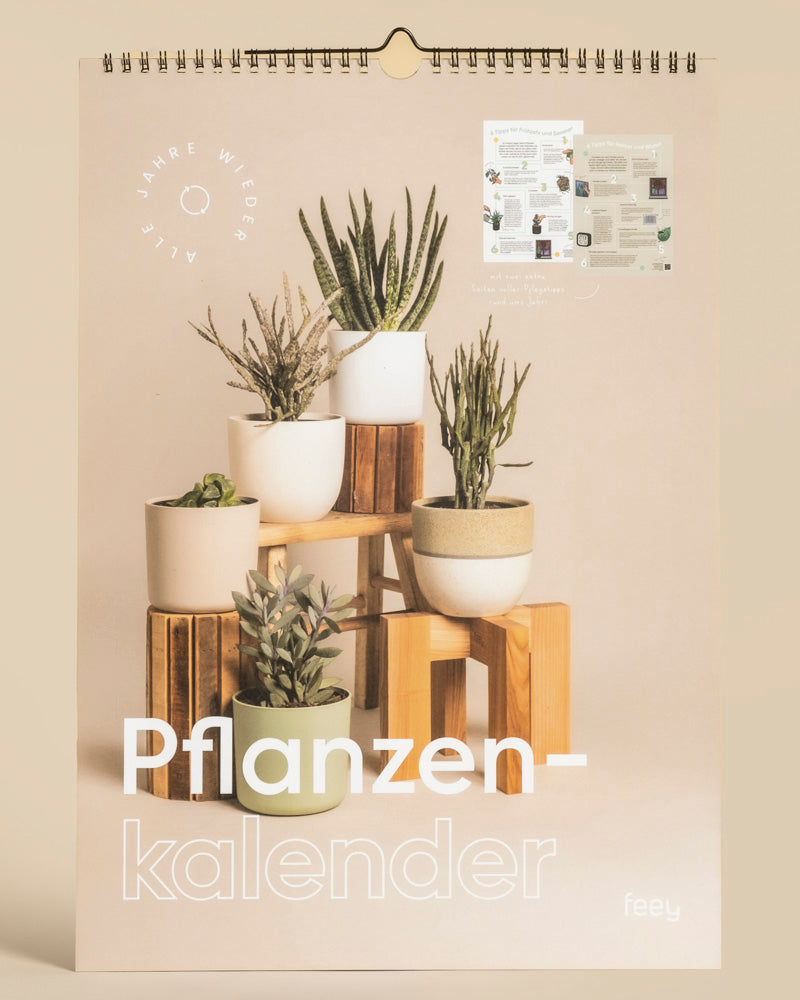 Das Cover des Pflanzenkalenders zeigt verschiedene getopfte Zimmerpflanzen auf Holzständern vor einem beigen Hintergrund. Der große weiße Titel darunter macht ihn zu einem immerwährenden Kalender mit inspirierenden Pflanzentipps.