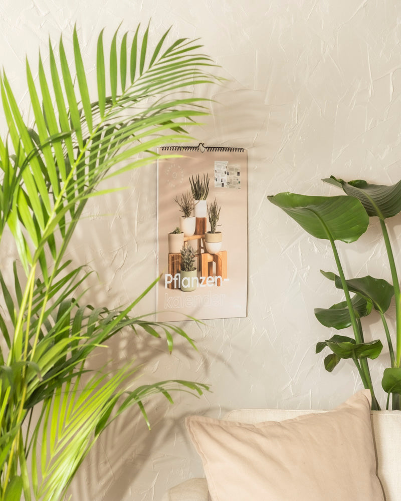 Eine gemütliche Wohnzimmerecke mit grünen Zimmerpflanzen, einer beigen Wand und einem Pflanzenkalender mit Bildern von Topfpflanzen. Ein cremefarbenes Sofa ist teilweise im Vordergrund zu sehen.