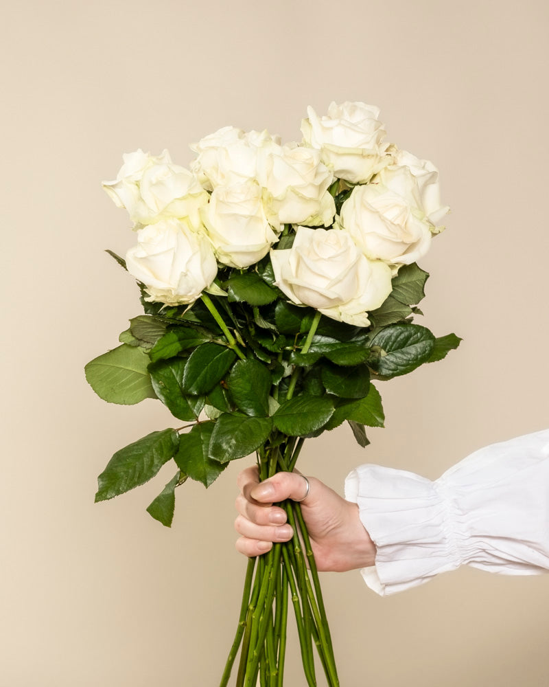 Eine Hand hält einen Strauß Weißer Rosen, der Ehrlichkeit symbolisiert, vor einem schlichten beigen Hintergrund. Die Person trägt ein langärmeliges weißes Hemd - ein besonderes Geschenk mit Weißen Rosen für einen besonderen Menschen.