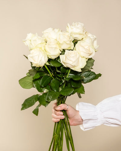 Eine Hand hält einen Strauß Weißer Rosen, der Ehrlichkeit symbolisiert, vor einem schlichten beigen Hintergrund. Die Person trägt ein langärmeliges weißes Hemd - ein besonderes Geschenk mit Weißen Rosen für einen besonderen Menschen.