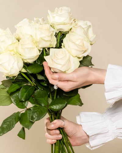 Eine Person in einem weißen, langärmeligen Hemd hält einen Strauß Weißer Rosen, wobei sie die Stiele mit einer Hand stützt und die Blüten mit der anderen Hand sanft berührt - ein besonderes Geschenk voller Ehrlichkeit.