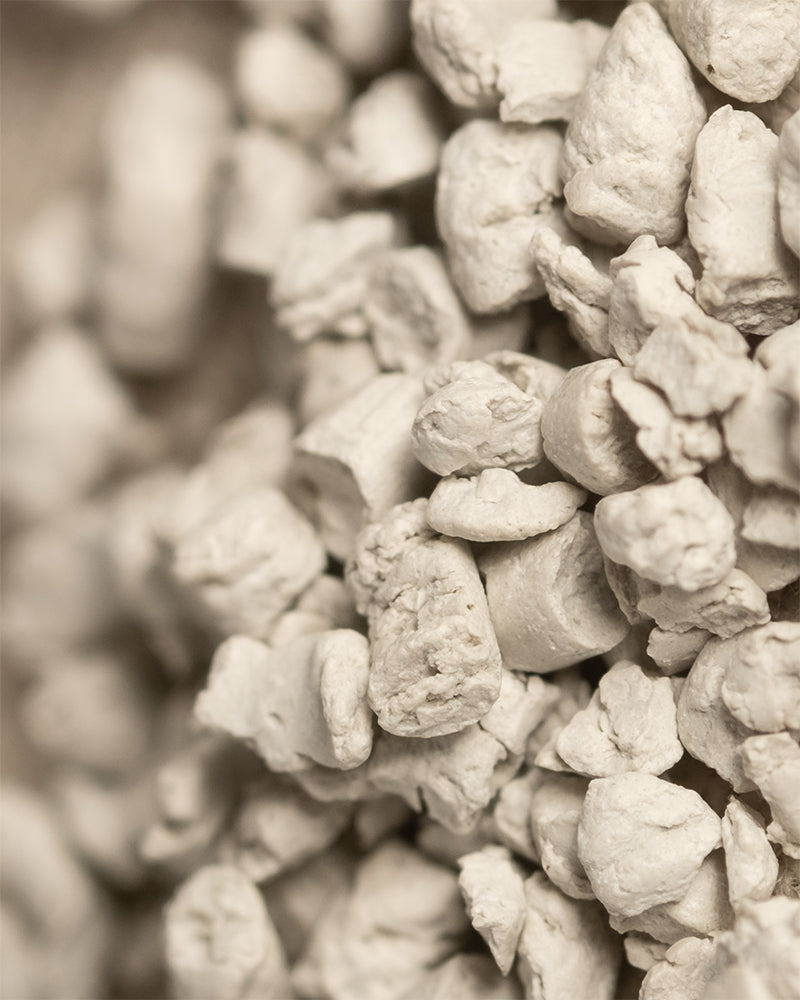 Nahaufnahme von Wurzelbooster (100 g): beigefarbene, unregelmäßig geformte Brocken und Körnchen mit rauer, ungleichmäßiger Textur, die an getrocknete oder verarbeitete Lebensmittel oder Mineralstoffe erinnern.