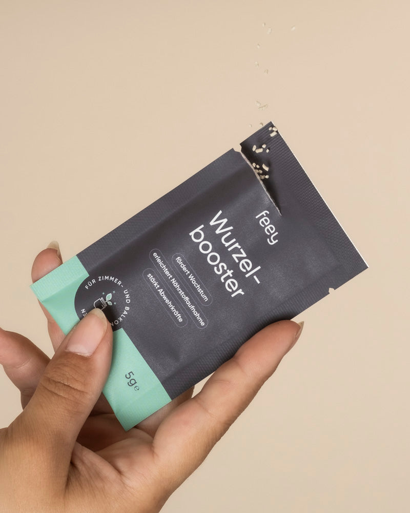 Eine Hand hält ein kleines, schwarzes und mintgrünes Wurzelbooster-Paket für Zimmerpflanzen vor einem beigen Hintergrund. Aus dem geöffneten Deckel quillt Granulat, das das Pflanzenwachstum fördert.