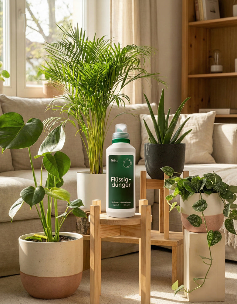 Eine Flasche Flüssigdünger steht auf einem hölzernen Pflanzenständer, umgeben von getopften Zimmerpflanzen in einem hellen Wohnzimmer mit einem beigen Sofa und einem großen Fenster im Hintergrund.