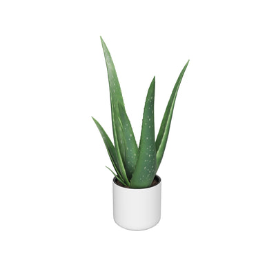 3D-Modell der Aloe vera in weissem Topf