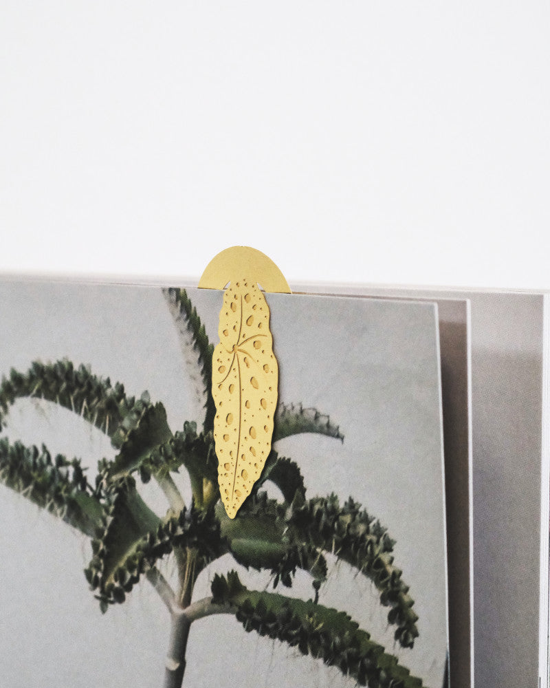 Eine Nahaufnahme einer Büroklammer in Form eines gelben Blattes, die einen Stapel Papiere zusammenhält. Auf den Papieren ist das Bild einer stacheligen grünen Pflanze aufgedruckt. Der Hintergrund ist schlicht weiß und hebt das elegante Buchzeichen hervor: Zimmerpflanzen-Blätter, das zudem korrosionsbeständig ist.