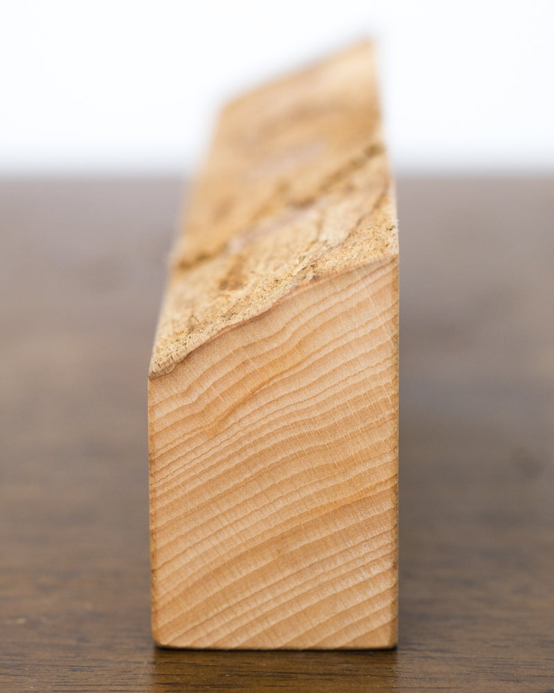 Das Vermehrungsset von der Seite – es zeigt den Holzschnitt, man sieht die Jahresringe.