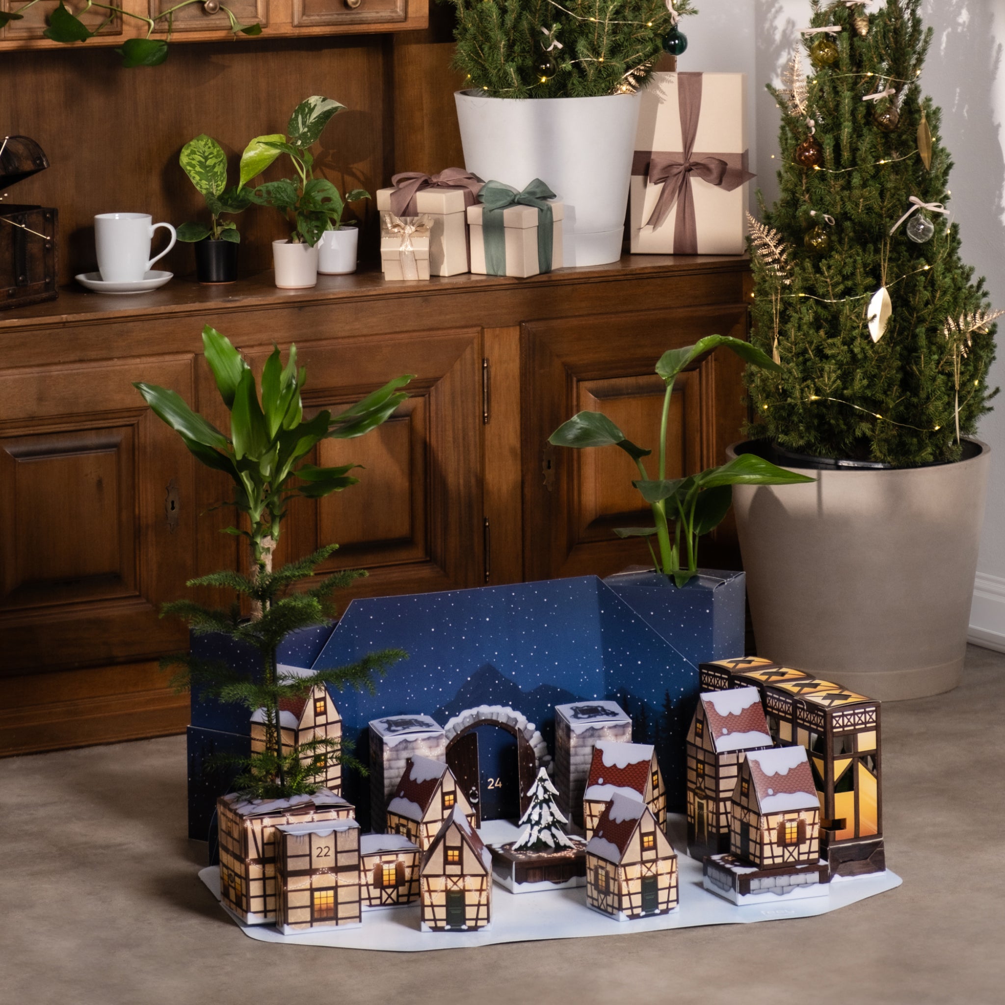 Grosser Adventskalender in Form eines verschneiten Dorfes mit sichtbaren Zimmerpflanzen (Strelitzie, Drachenbaum, Zimmertanne) sowie ein kleines gebasteltes Gewächshaus mit Babypflanzen.