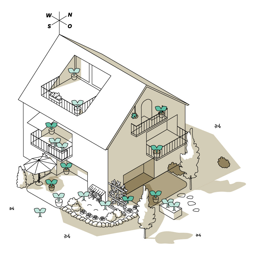 Illustration: Haus mit Balkonen und Gärten im Süden und Osten.