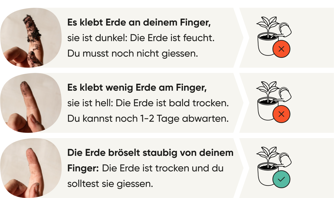 Fingertest-IndoorCH.png__PID:693dc0cc-25b4-4eb0-9c51-1400997992ab