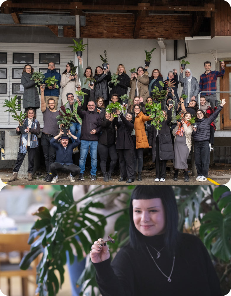 Collage vom feey-Teamevent 