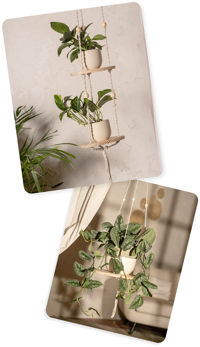 Group 17.png__PID:5a70770b-51ba-40fa-ae9c-e0367ccf8cc1