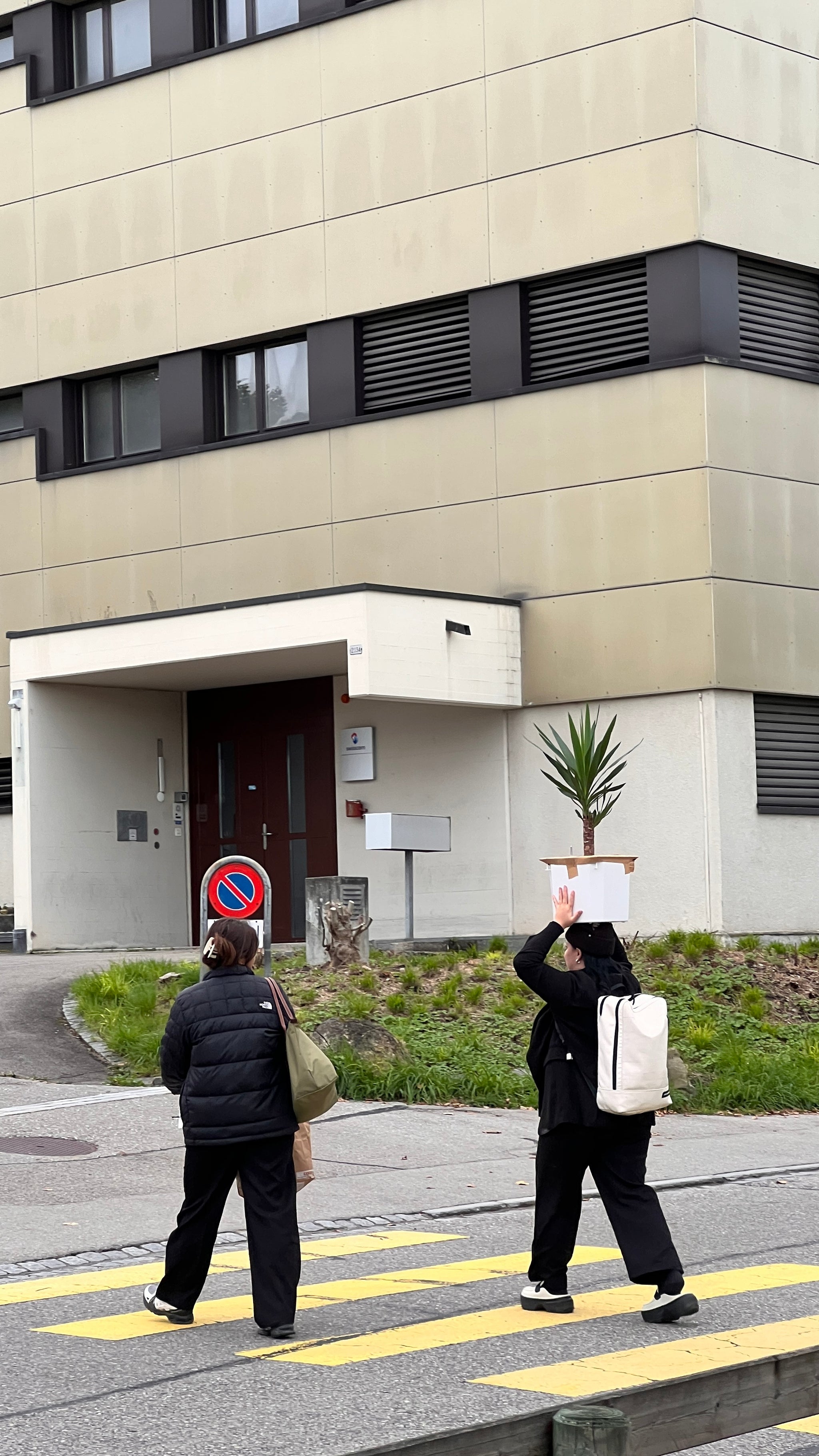 Zwei Personen überqueren die Strasse und eine davon trägt eine Zimmerpflanze über dem Kopf.