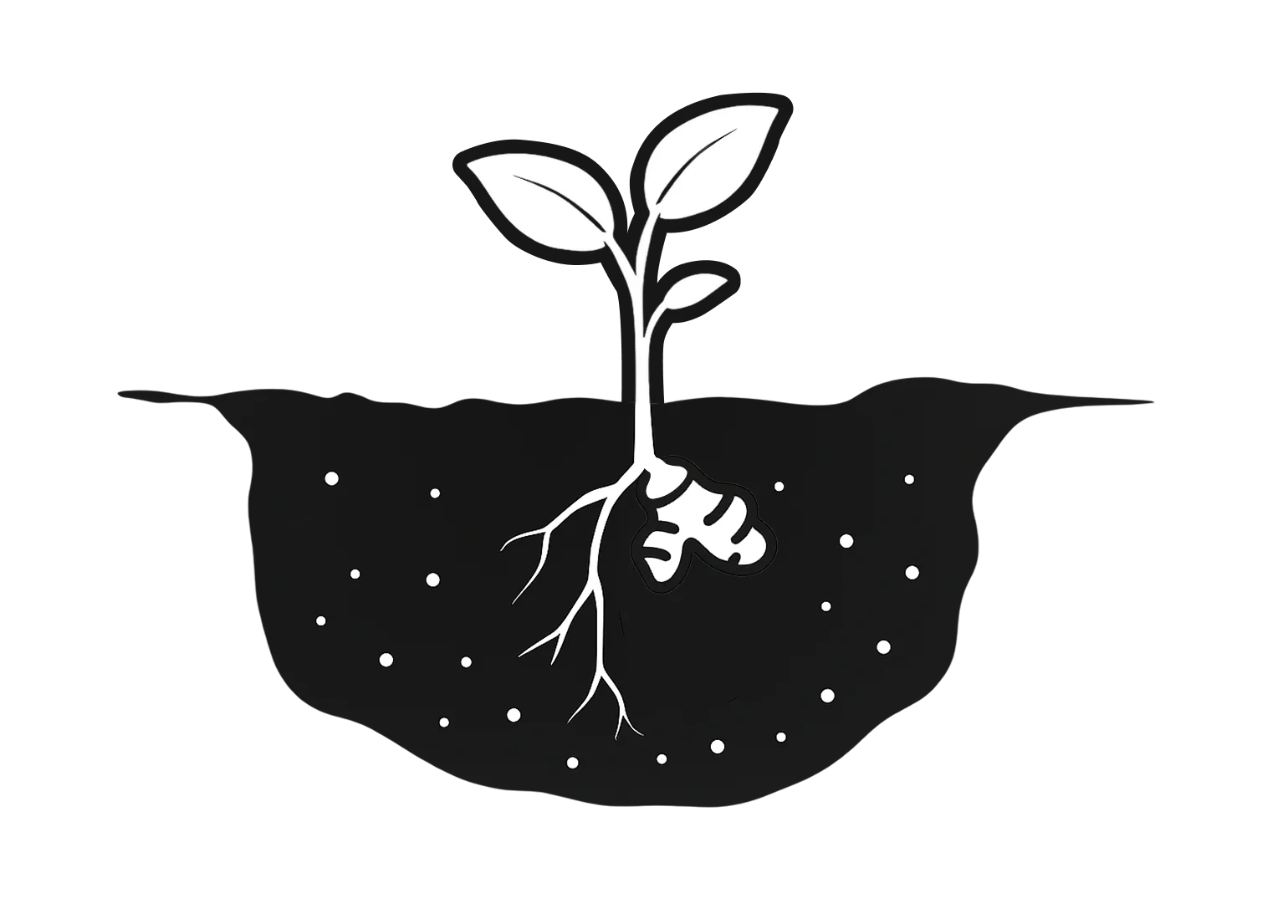 Erdmischung andrücken Knollen_Garden_10v2.png__PID:490603b5-1e6b-46fb-a456-f6b6a9fcd143