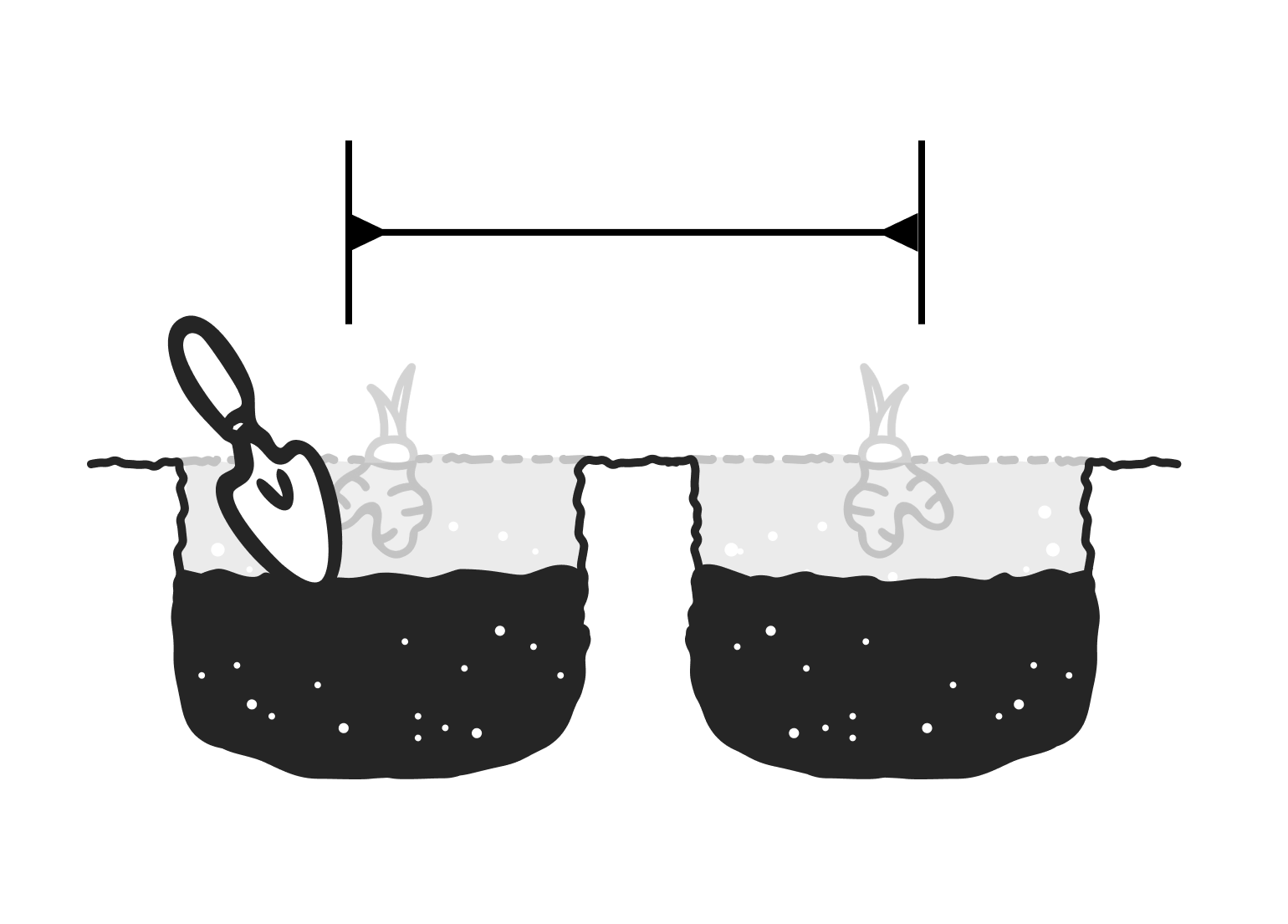 Illustration: Für jede Blumenzwiebel ein Loch mit etwas Abstand graben.