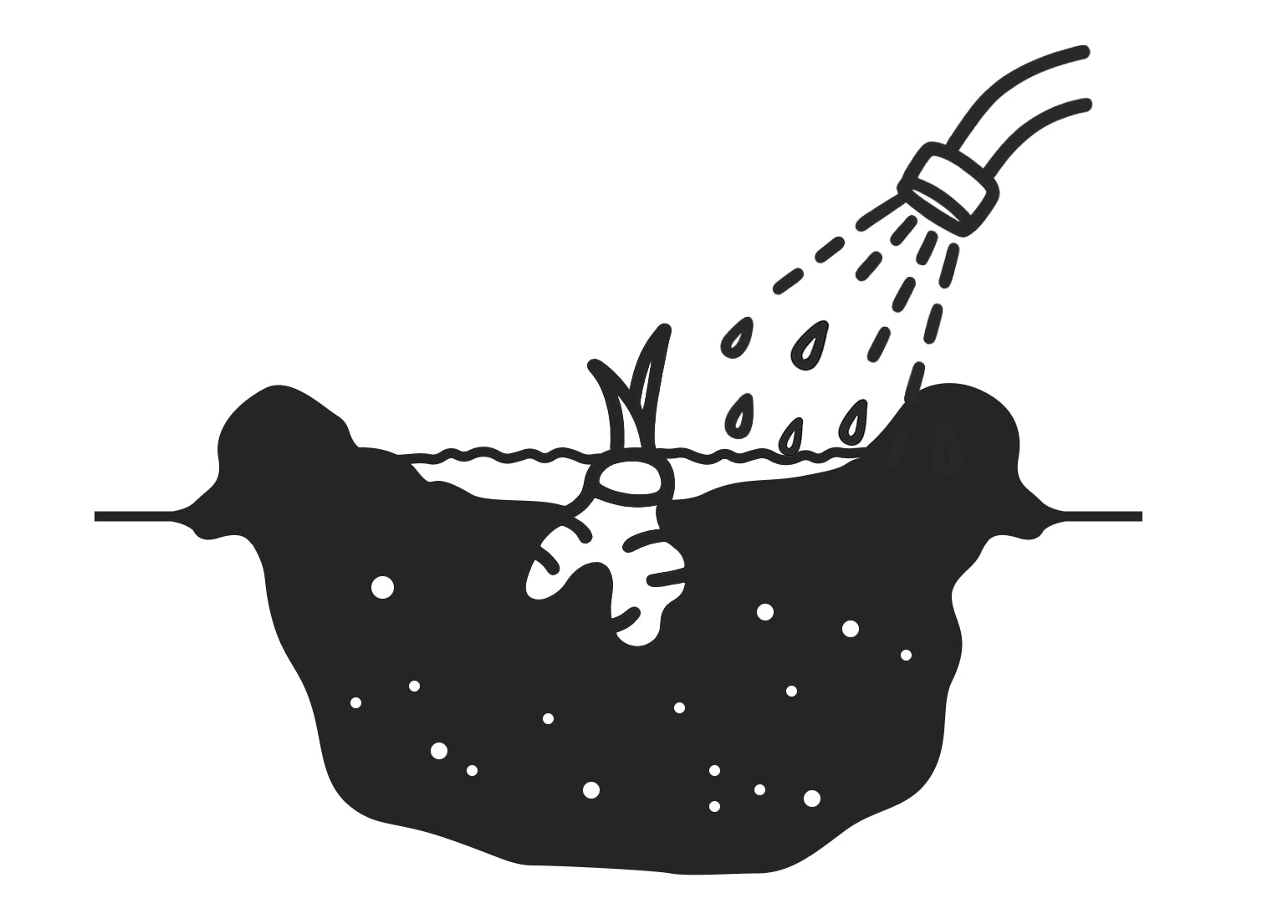 Erde angiessen Illustration: Eingepflanzte Allium wird angegossen.