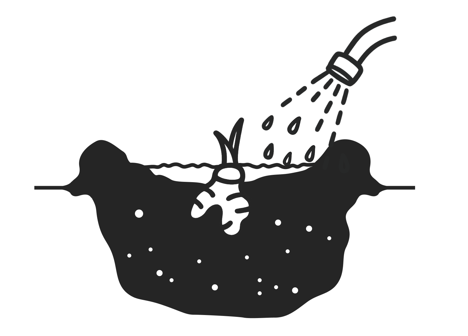 Illustration: Rhizome in der Erde giessen.