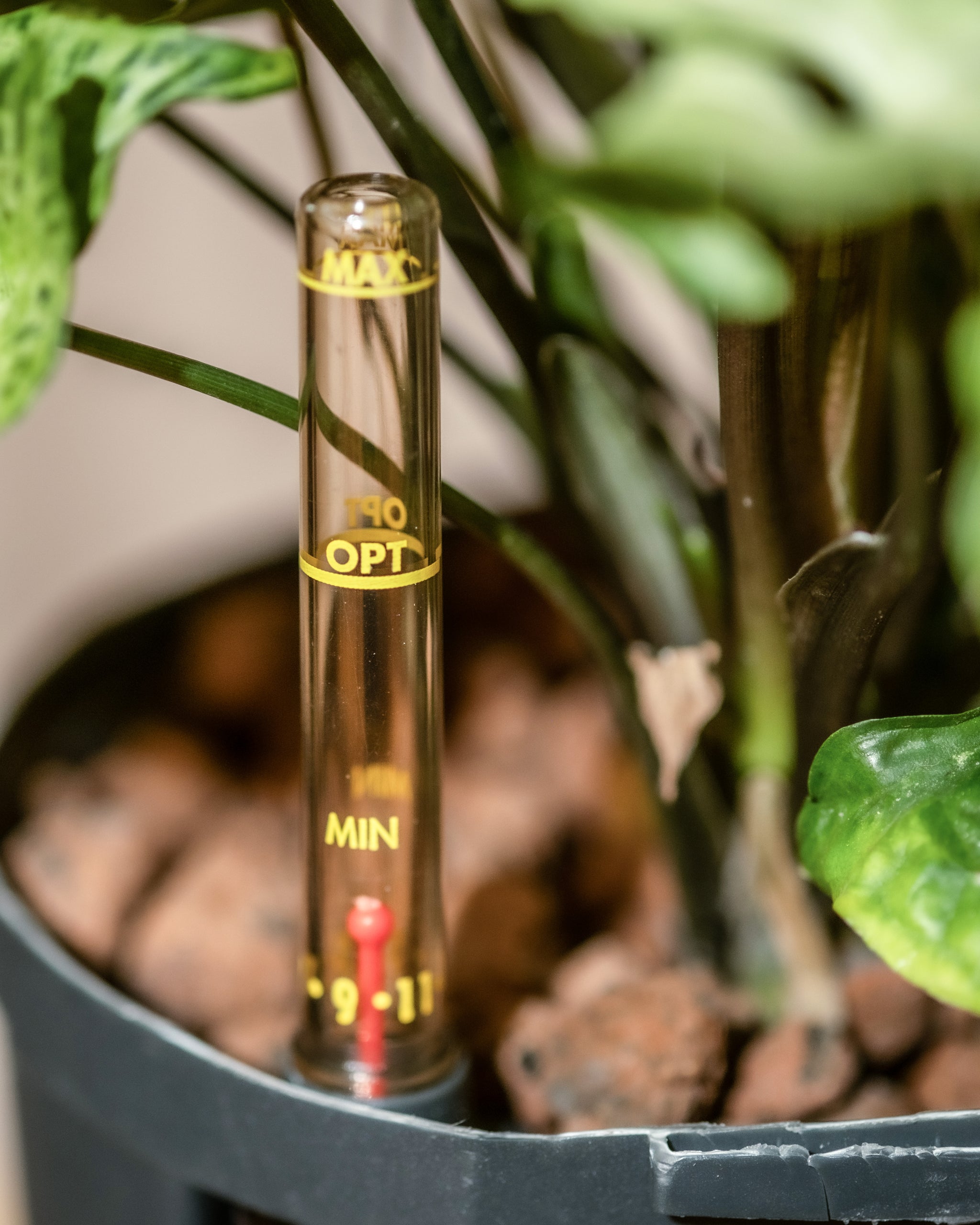  Wasserstandsanzeige aus transparentem Kunststoff mit 3 gelben Markierungen, MIN, OPT und MAX und im Innern ein rotes Stäbchen am Rand Kulturinnentopfes mit Pflanze und Blähton (Leca).