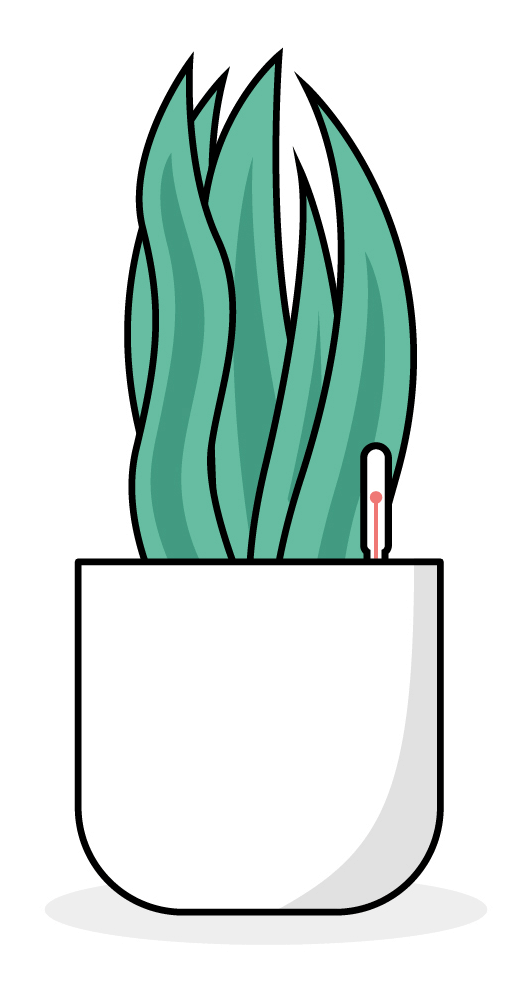 Illustration: Grosse Sansevieria (Schwiegermutterzunge/Bogenhanf) in einem Topf mit Wasserstandsanzeiger.