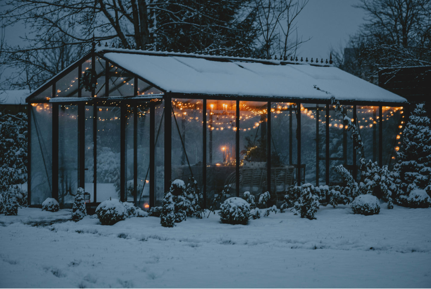 Gewächshaus in einem schneebedeckten Garten, in welchem Frostempfindliche Pflanzen überwintert werden. 