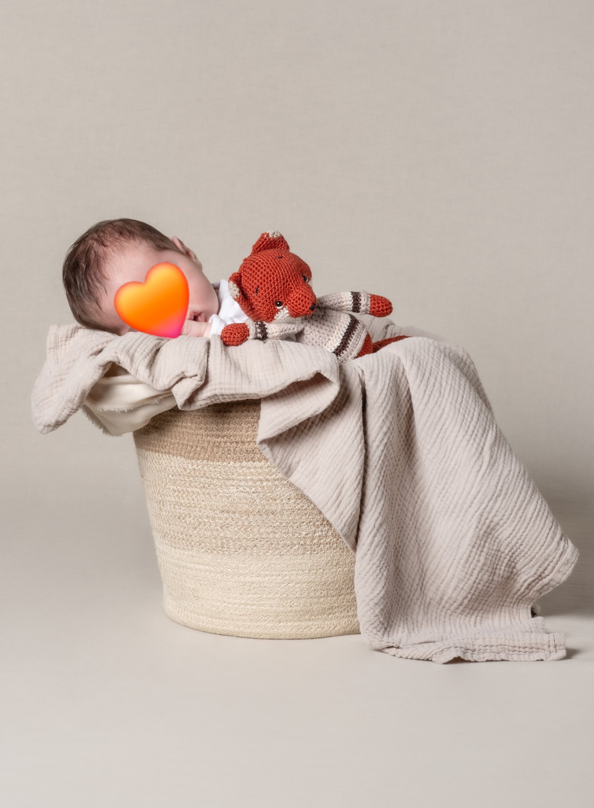 Baby liegt mit Decke und Plüschtier in einem grossen Pflanzkorb.