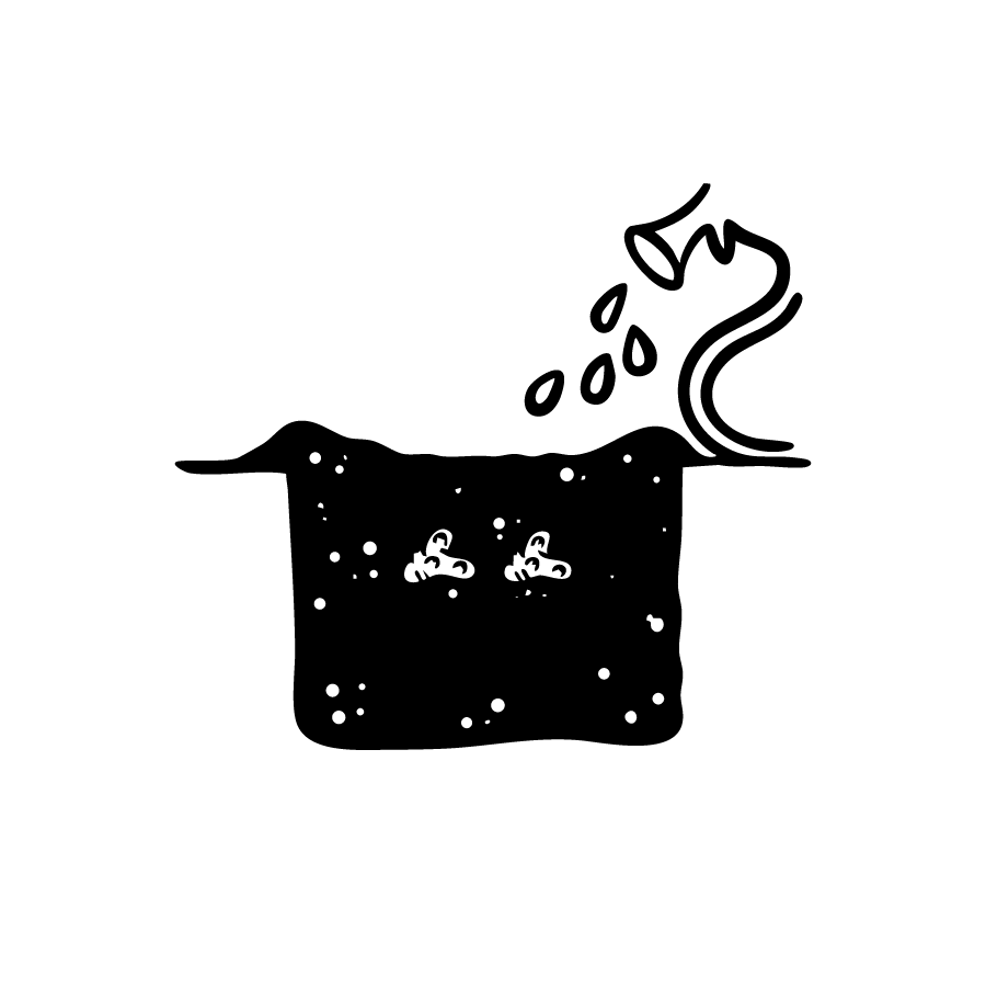 Illustration: Rhizome in der Erde giessen.