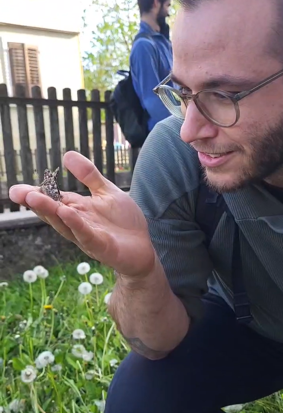 Zwei Schmetterlinge sitzen auf der Hand eines Mannes.