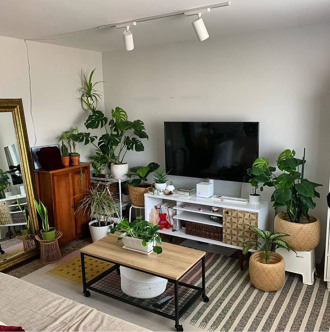 Pflanzen neben dem TV-Möbel, davor ein Couchtisch mit einer weiteren Pflanze