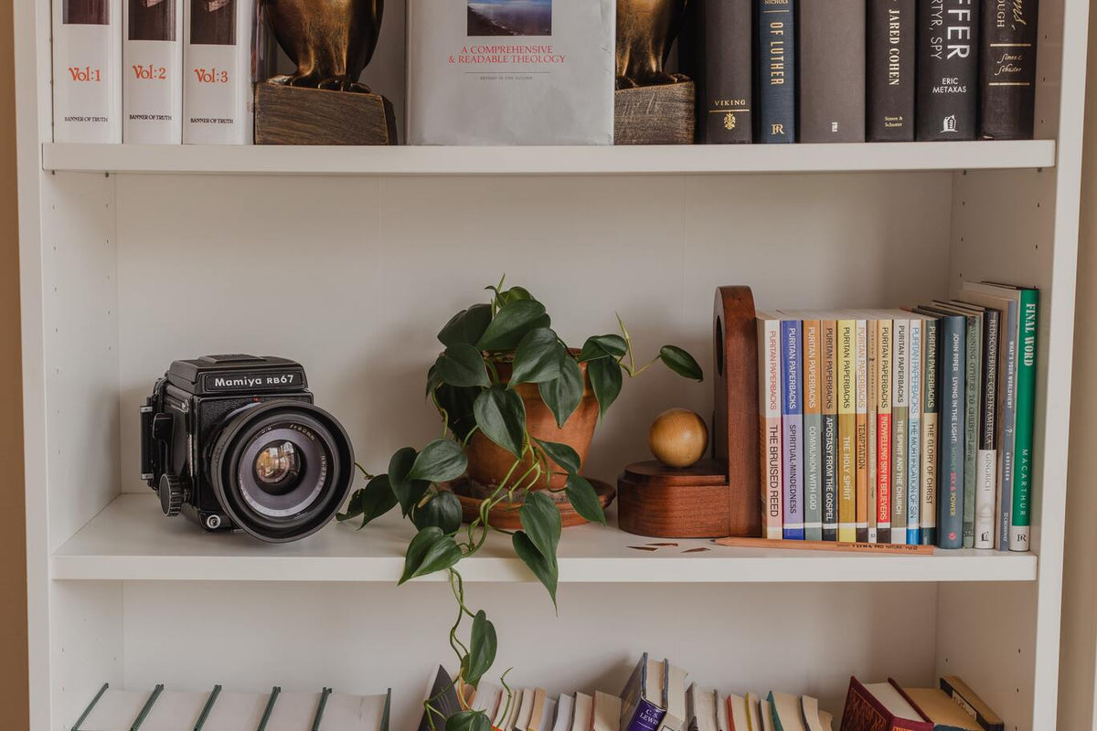 Philodendron scandens im Tontopf in einem weissen Bücherregal zwischen Büchern und einer Kamera