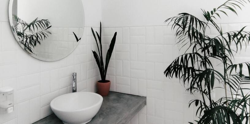 Weisses Bad, abgesetztes Lavabo, dahinter eine schmale, hohe Pflanze, an der Wand eine Palme
