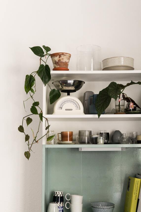 Weisses Regal mit Küchenwaage, Begonien-Steckling im Glas, Keramik-Geschirr und einem Philodendron, der aus einem Tontopf wächst