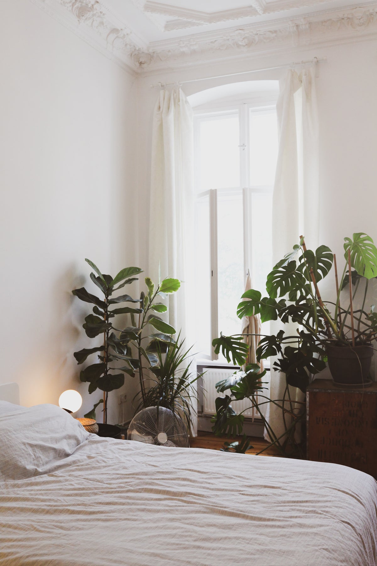 Ein Schlafzimmer mit vielen Pflanzen und minimalistisch eingerichtet. Das Bett hat weisse Bettwäsche.