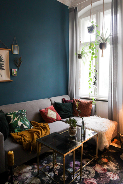 Hängepflanzen am Fenster über dem grauen Sofa vor einer blauen Wand auf einem Blumenteppich