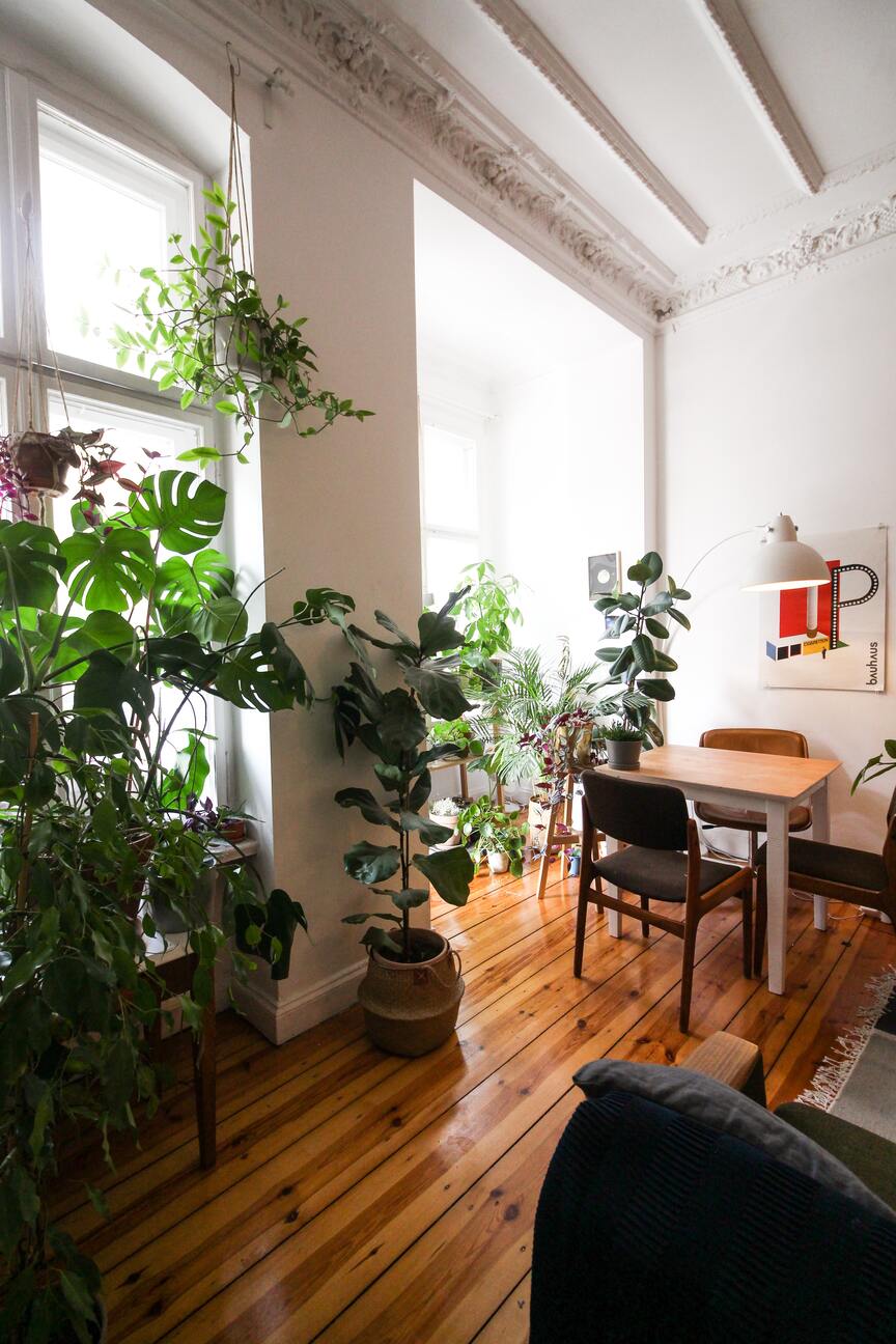 Essbereich mit kleinem, quadratischem Holztisch, zwei Stühlen, hellem Parkett und vielen hohen Pflanzen