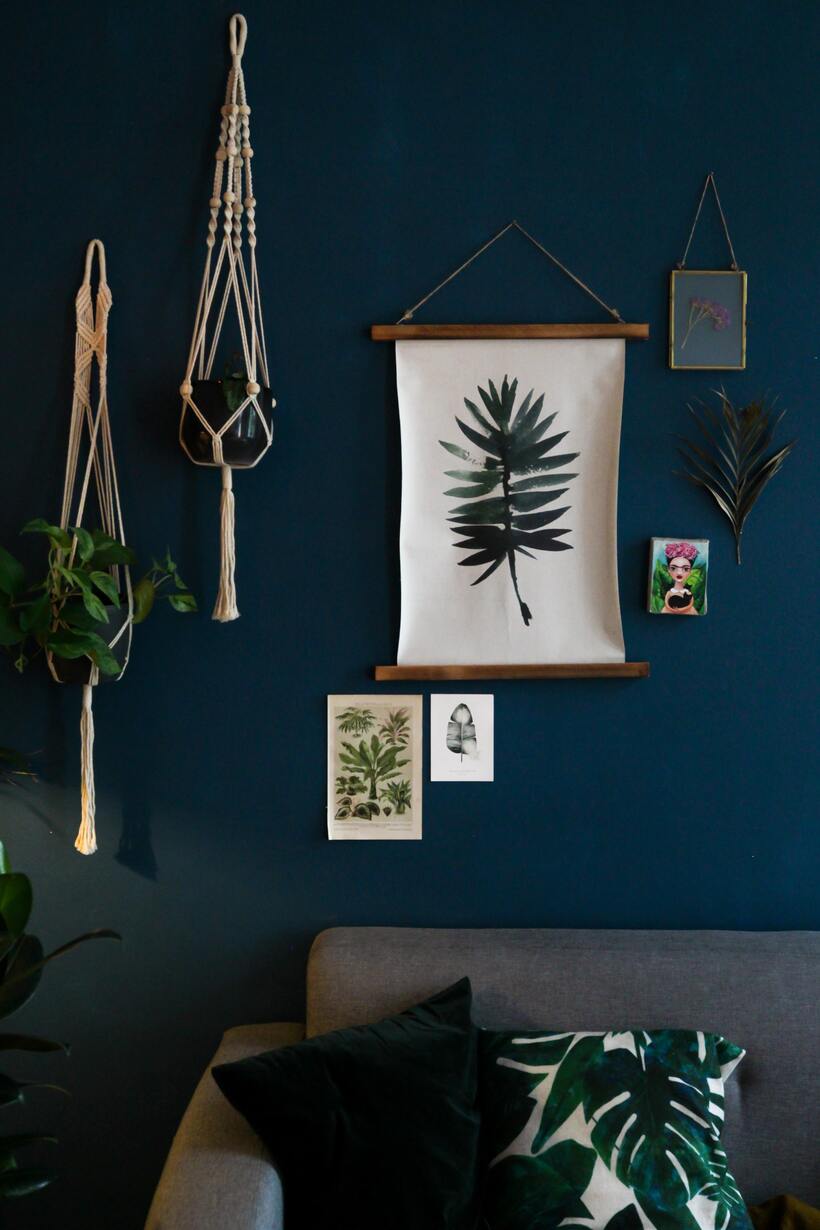 Zwei Pflanzen in beigen Makramees vor einer dunkelblauen Wand mit Pflanzen-Postkarten und Artprints
