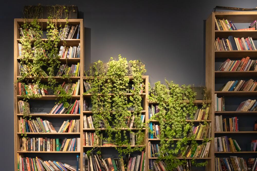 Unterschiedlich hohe Holzregale, bewachsen mit Hängepflanzen, vor einer dunkelgrauen Wand