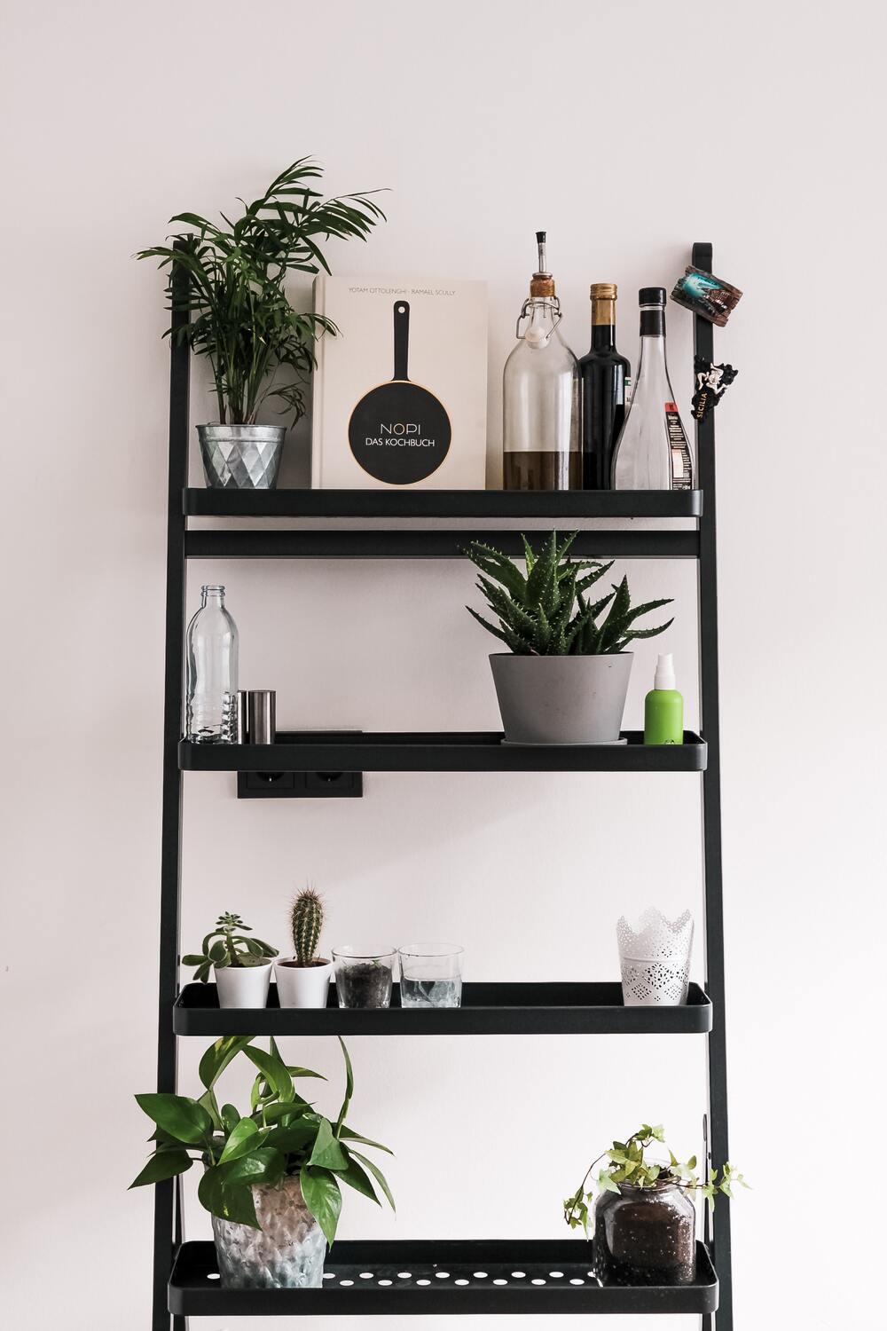 Pflanzen auf allen Ebenen in einem schwarzen Metallregal, dazwischen einzelne Küchenelemente wie ein Kochbuch, Öl, Essig und eine leere Glasflasche