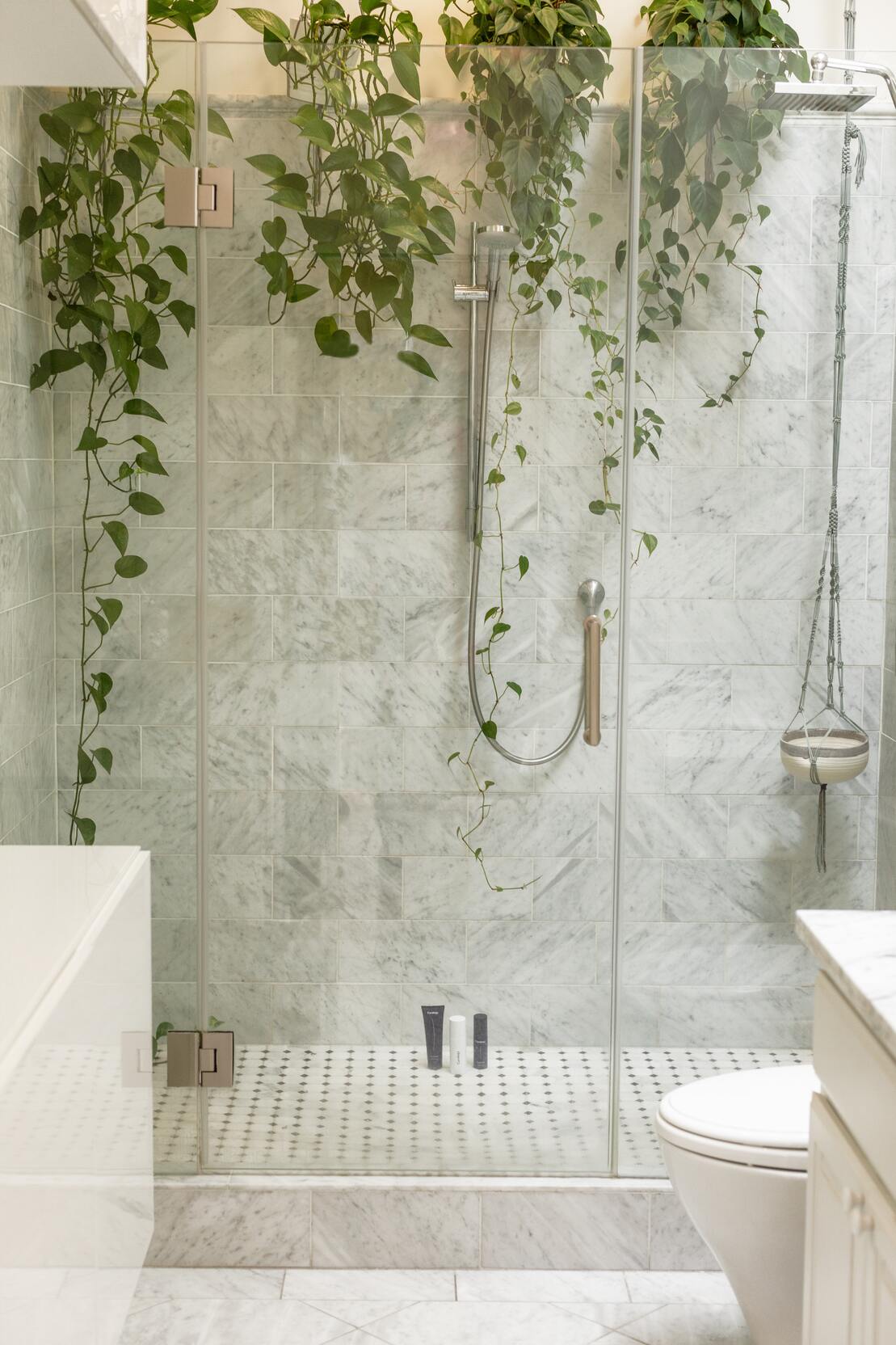 Weiss marmoriertes Bad mit offener Glasdusche und darin die gesamte Länge voller Hängepflanzen