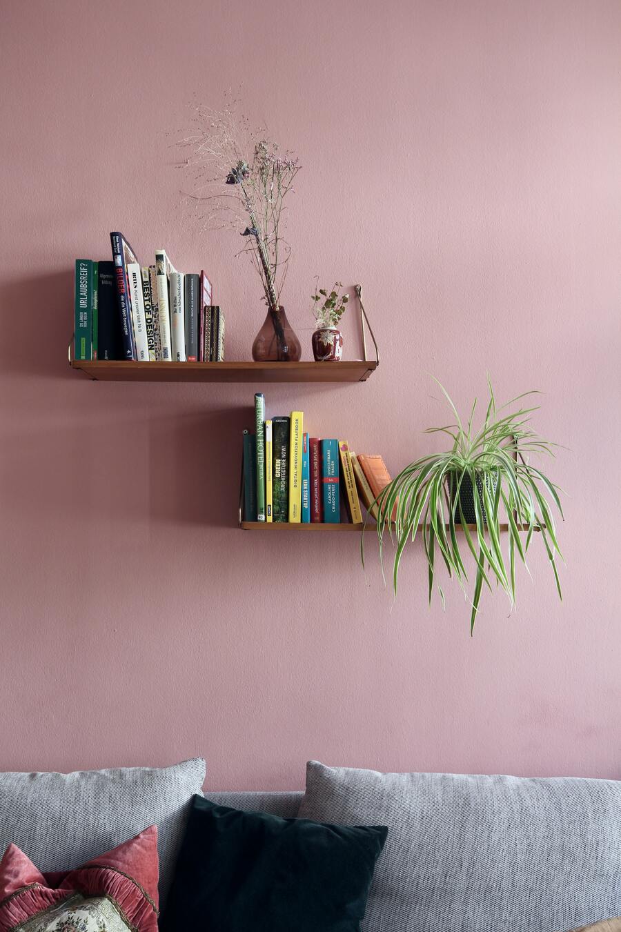 Grünlilie neben Büchern auf einem schlichten, hölzernen Wandregal an einer rosa Wand, davor ein Sofa mit kuscheligen Kissen