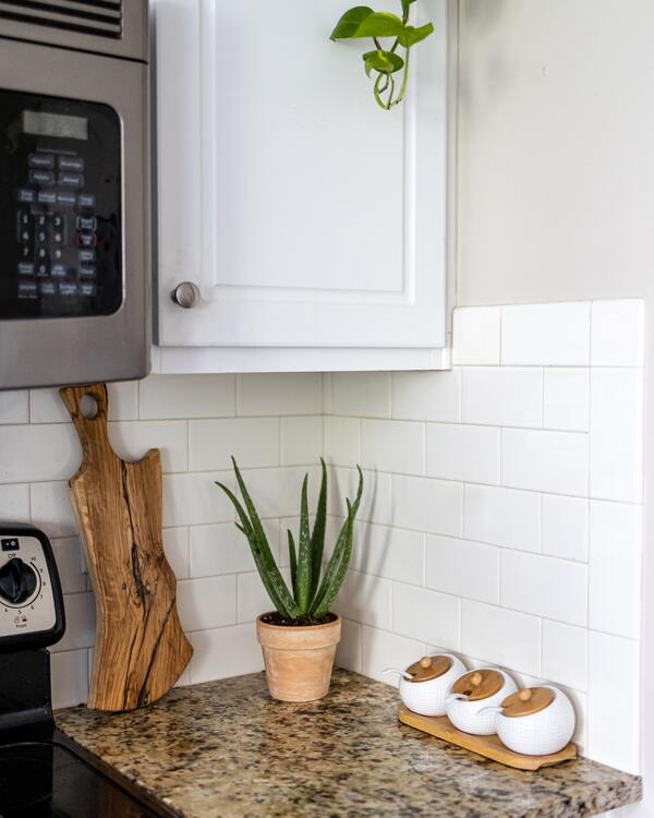 Aloe vera in Tontopf auf einer Marmor-Arbeitsfläche, darüber ein weisser Küchenschrank und die Triebe einer von oben herabhängenden Efeutute