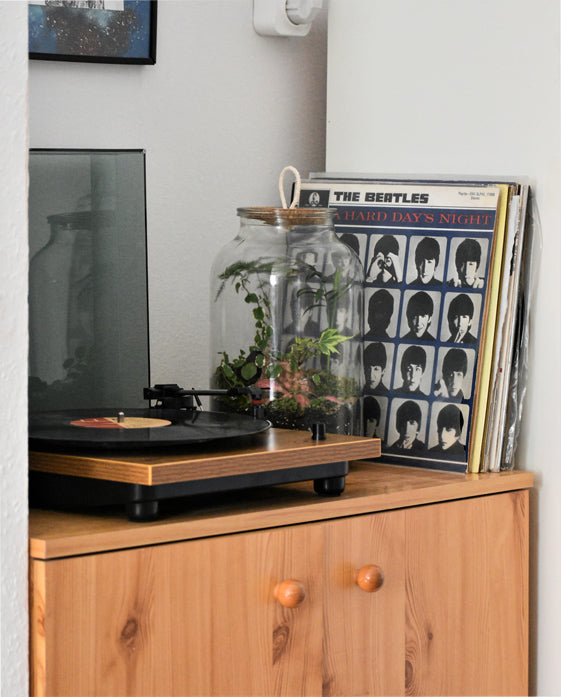 Hölzerenes Sideboard mit Vinyl-Schalplatten, einem Plattenspieler und Terrarium