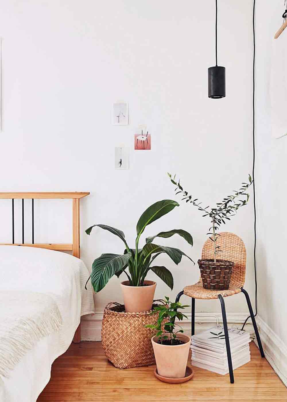Neben einem Bett steht ein grosses Einblatt in einem Bastkorb. Daneben hat es ein Stuhl mit Wiener Gelfecht und darauf eine Pflanze in einem Bastkorb. Unten steht ein Terracotta-Topf mit einer Pflanze darin. 