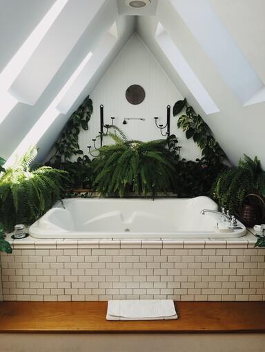 Badewanne unter spitz zulaufendem Dach, rundherum mit Pflanzen vollgestellt
