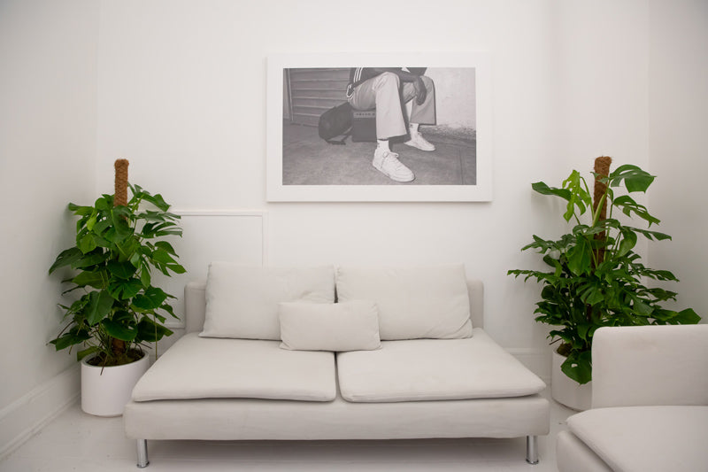 Zwei XL-Monsteras mit Bambusstab rahmen ein weisses Sofa vor einer weissen Wand ein